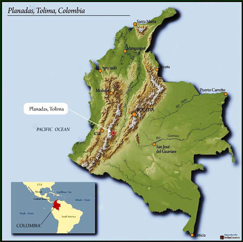 کلمبیا تولیما