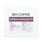 قهوه گواتمالا Maragogype