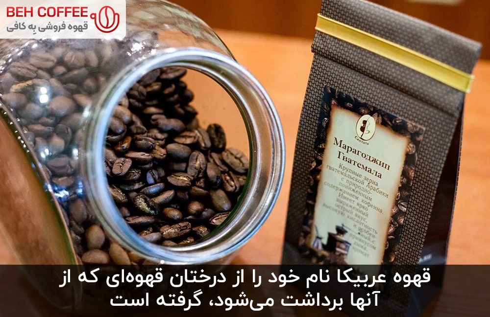 دانه قهوه عربیکا