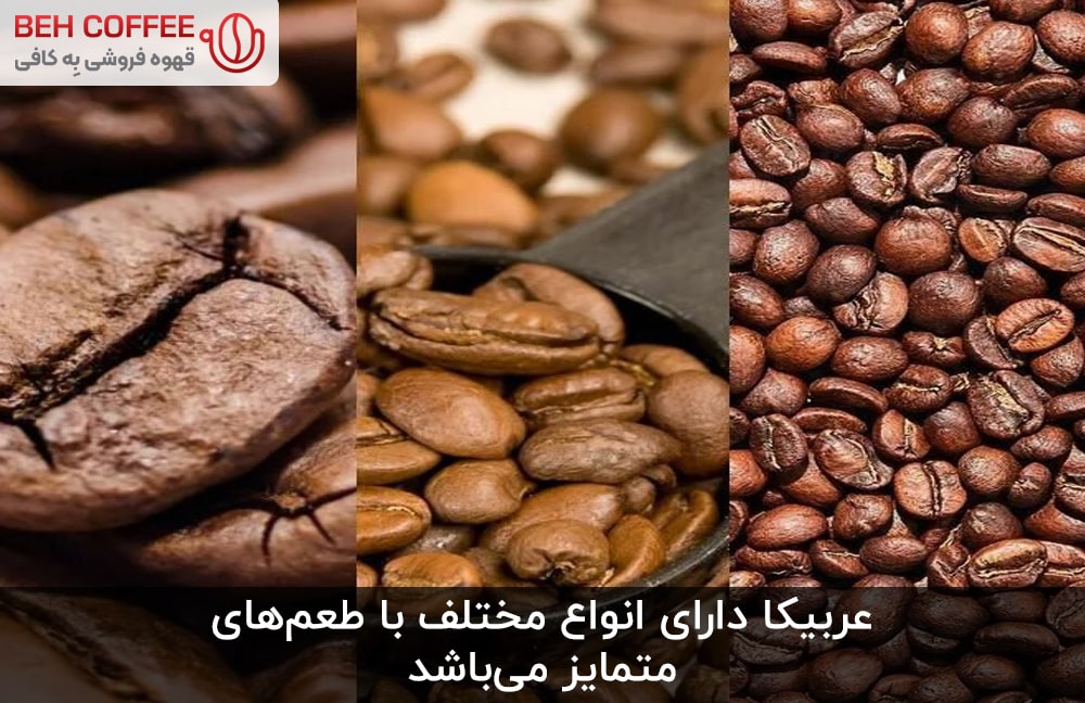 انواع قهوه‌ عربیکا‌